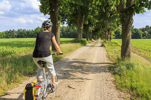 © Heinz Waldukat, stock.adobe.com 93112178 AdobeStock_93112178750px